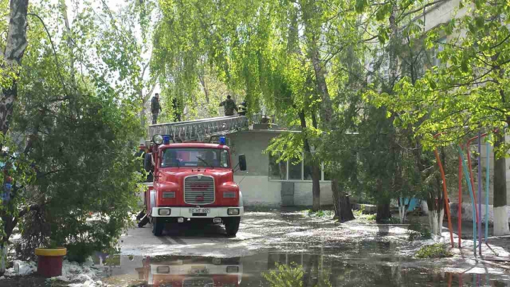 Autorităţile Capitalei, ÎN FORŢĂ! Străzile care au fost curăţate de copacii doborâţi în urma ninsorii (GALERIE FOTO)