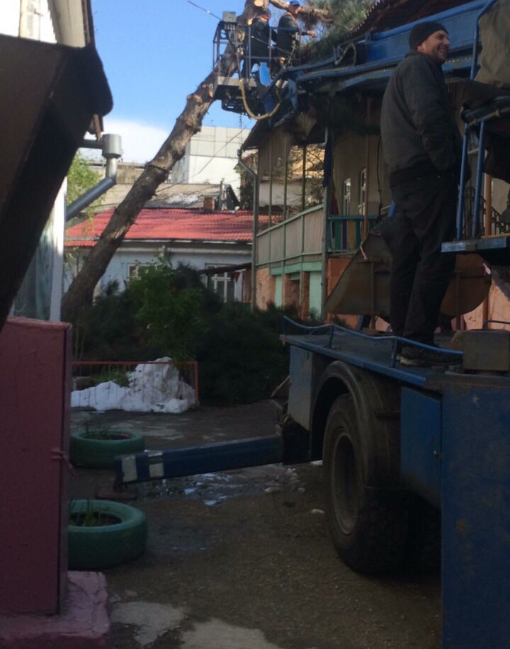 Autorităţile Capitalei, ÎN FORŢĂ! Străzile care au fost curăţate de copacii doborâţi în urma ninsorii (GALERIE FOTO)