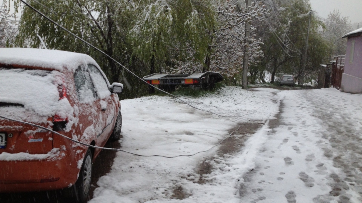 Vremea rea face RAVAGII în Moldova! ZECI de copaci au căzut şi MAI MULTE maşini au fost strivite (GALERIE FOTO)