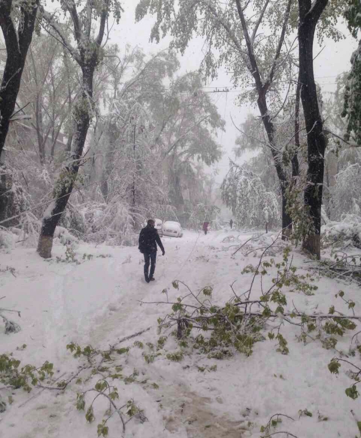 A DOUA ZI DE VISCOL ÎN APRILIE. CAPITALA ESTE PARALIZATĂ, NU IEȘIȚI DIN CASE! TROLEIBUZELE NU CIRCULĂ (GALERIE FOTO)