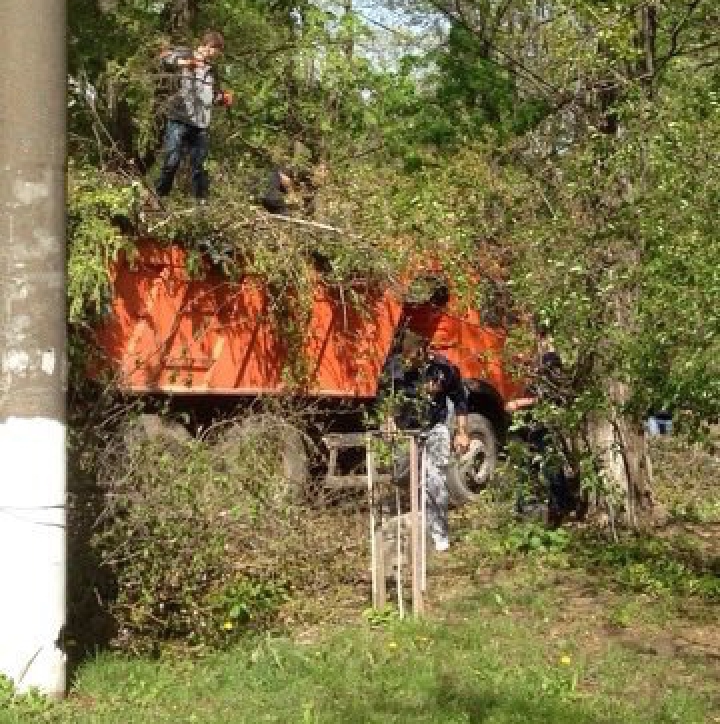 Mobilizare GENERALĂ în Capitală! Cum decurg lucrările de salubrizare pe strada Gheorghe Asachi (FOTO)