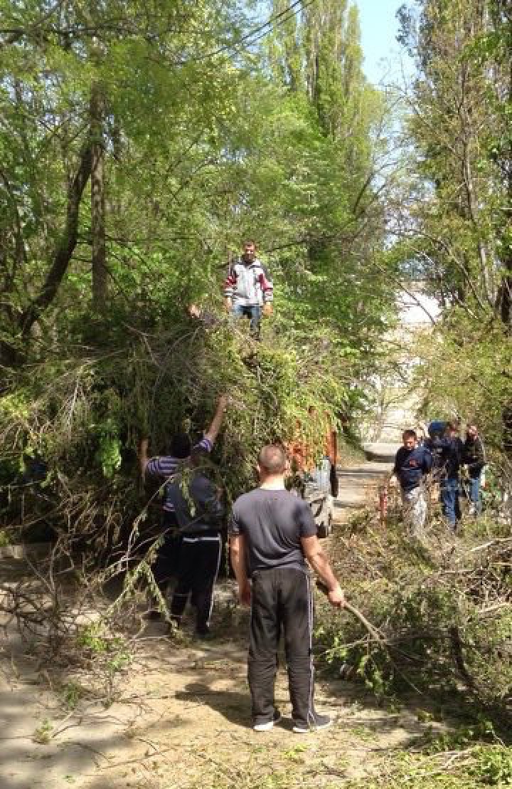 Mobilizare GENERALĂ în Capitală! Cum decurg lucrările de salubrizare pe strada Gheorghe Asachi (FOTO)