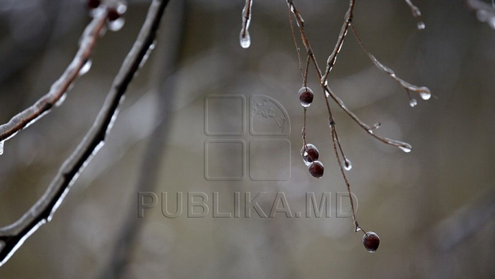 COD GALBEN DE ÎNGHEŢURI în nordul şi centrul ţării! Temperaturile vor scădea până la -2 grade