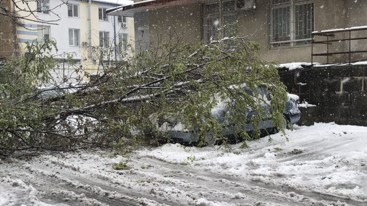 Sute de arbori smulşi din rădăcini, străzi închise şi cartiere fără electricitate! Situaţia în Chişinău LA ORA ACTUALĂ