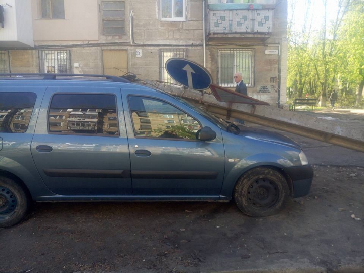 I-a cazut un stâlp pe maşină, acum trei zile. Cei de la Spaţii Verzi spun că NU E TREABA LOR să rezolve problema (FOTO)