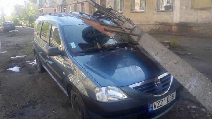 I-a cazut un stâlp pe maşină, acum trei zile. Cei de la Spaţii Verzi spun că NU E TREABA LOR să rezolve problema (FOTO)