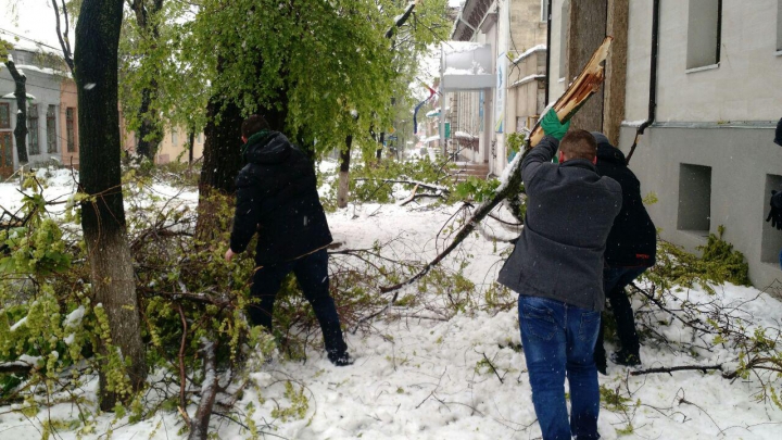 Tinerii democrați au dat o mână de ajutor la deszăpezire, în Capitală și în toate orașele afectate de intemperii