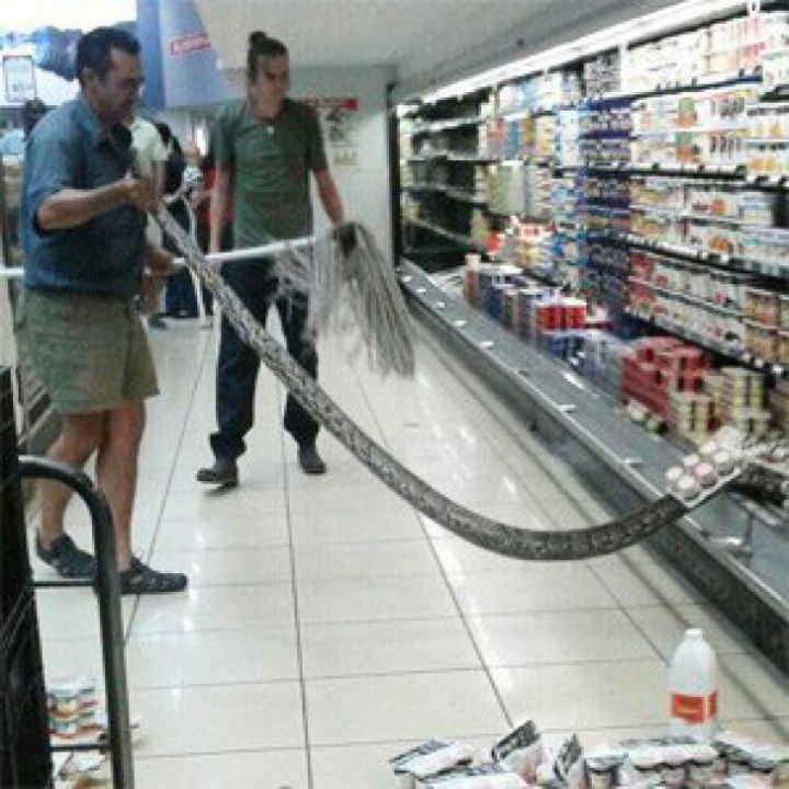 FIORI DE GROAZĂ! Un bărbat a găsit un ŞARPE IMENS în supermarket. Ce a urmat (FOTO)