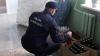 Grup infracţional specializat în transportarea ilegală a alcoolului, destructurat de către polițiștii de frontieră (FOTO)