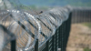 Lituania va instala un gard metalic la granița cu regiunea Kaliningrad din Rusia