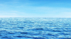 STUDIU: Oceanele sunt pe punctul de a rămâne fără oxigen