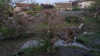 DEZASTRU la Cimişlia după ploile torenţiale: Grădini înnămolite şi gunoaie aduse de apă (FOTO)