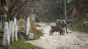 MOARTE STUPIDĂ la Leova! O femeie de 33 de ani a decedat după ce a căzut din căruţă (FOTO)