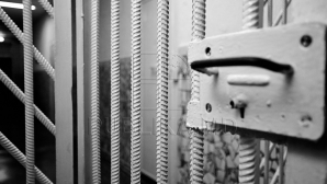 Un proxenet din Chişinău îşi va petrece următorii 16 ani după gratii 