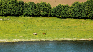 METEO 18 mai 2017. Cer senin şi temperaturi generoase în termometre