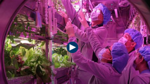 Provocare pentru opt studenți chinezi: Timp de 200 de zile, vor simula viaţa pe Lună