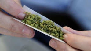 Fuga nu i-a salvat! Patru tineri riscă închisoare pentru consum şi păstrare de etnobotanice