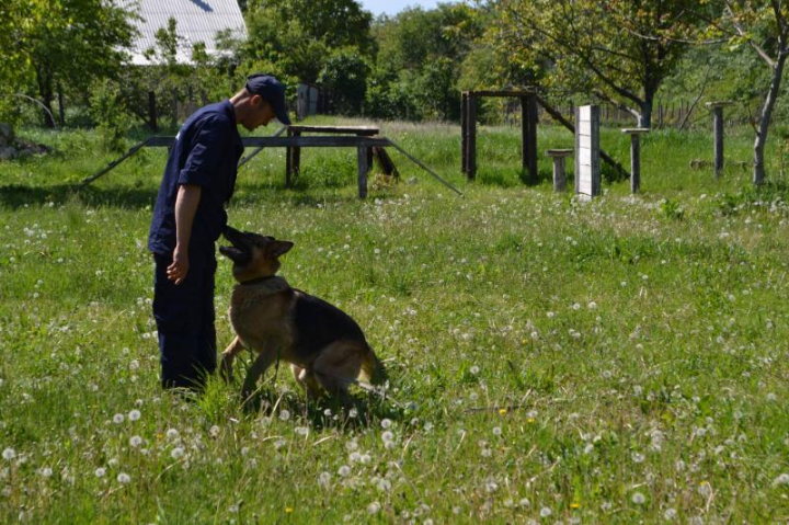 Zeci de copii din Ungheni au petrecut câteva ore la frontieră. Cei mici au testat dispozitivele din dotare (GALERIE FOTO)