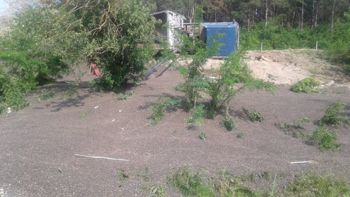 Un camion plin cu seminţe de floarea soarelui S-A RĂSTURNAT pe traseul Chişinău-Hînceşti (FOTO)