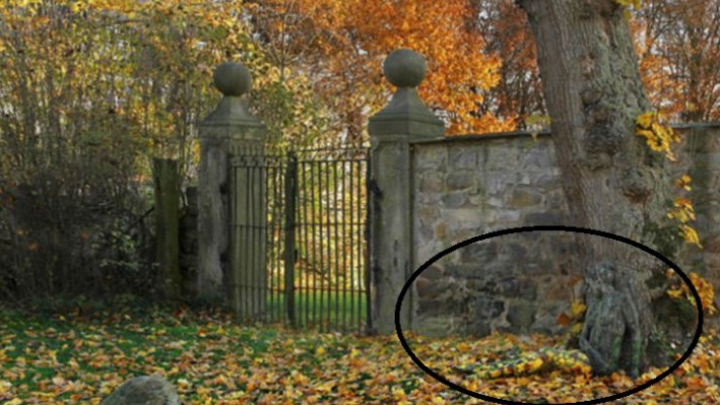 Dacă poţi găsi femeia din această poză, atunci ai un IQ peste medie. Îţi dai seama unde e?