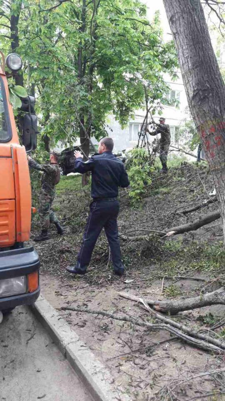 Mobilizare generală. Chiar dacă este 1 mai, continuă lucrările de salubrizare pentru a cincea zi consecutiv (FOTO/VIDEO)