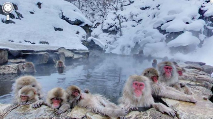 Google Street View: Cele mai ciudate imagini surprinse vreodată pe hartă (FOTO)