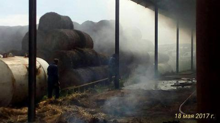 Incendiu la o fermă din Teleneşti. Peste 250 de vite au fost salvate din flăcări (FOTO)