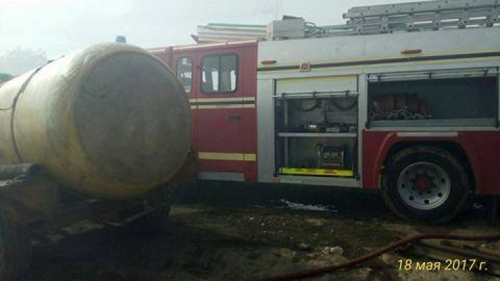 Incendiu la o fermă din Teleneşti. Peste 250 de vite au fost salvate din flăcări (FOTO)