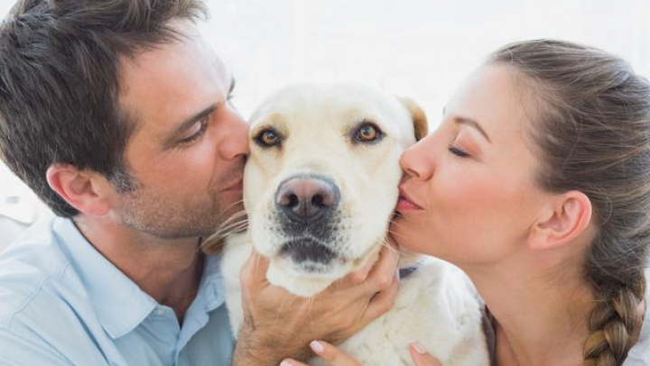 STUDIU: Câinii sunt influenţaţi emoţional de stăpâni