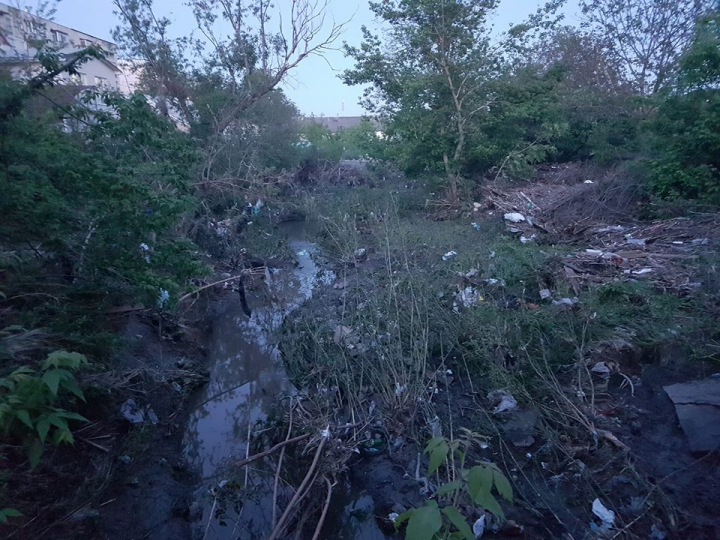 DEZASTRU la Cimişlia după ploile torenţiale: Grădini înnămolite şi gunoaie aduse de apă (FOTO)