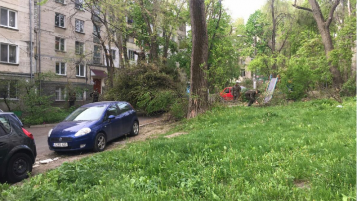 Zi liberă, dar nu pentru toți. Pompierii și polițiștii continuă lucrările de salubrizare iar medicii stau de gardă (FOTO)