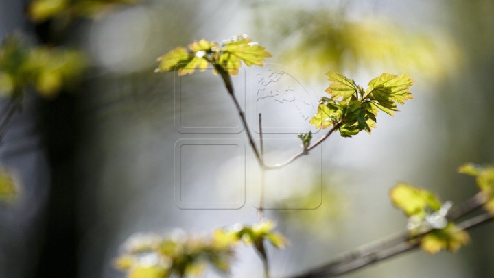 Vremea caldă se menține în toată țara. Ce anunță meteorologii pentru zilele următoare