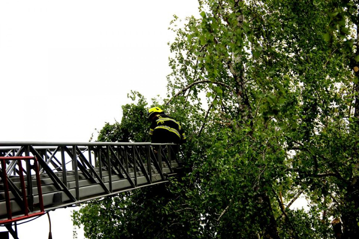 A cincea zi de lucru consecutiv. Peste 2.000 de persoane participă la salubrizarea Capitalei (FOTO/VIDEO)