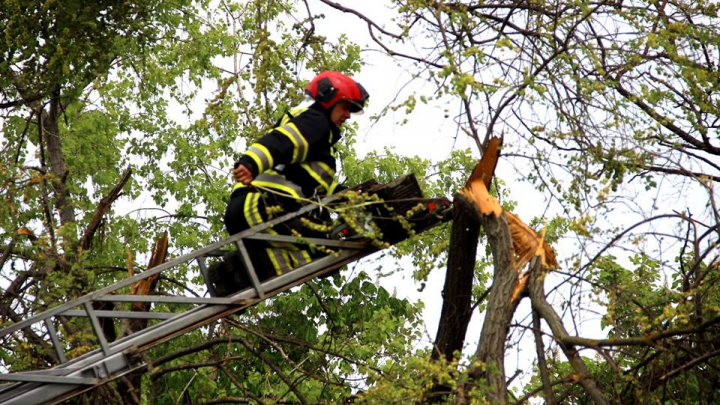 A cincea zi de lucru consecutiv. Peste 2.000 de persoane participă la salubrizarea Capitalei (FOTO/VIDEO)