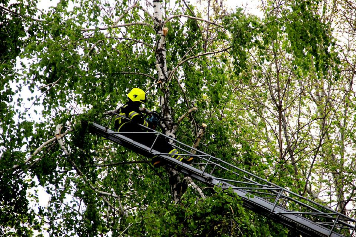 A cincea zi de lucru consecutiv. Peste 2.000 de persoane participă la salubrizarea Capitalei (FOTO/VIDEO)