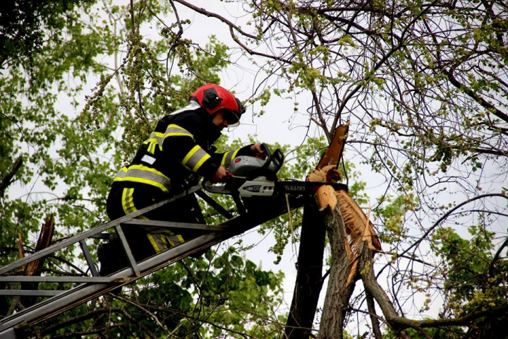 A cincea zi de lucru consecutiv. Peste 2.000 de persoane participă la salubrizarea Capitalei (FOTO/VIDEO)