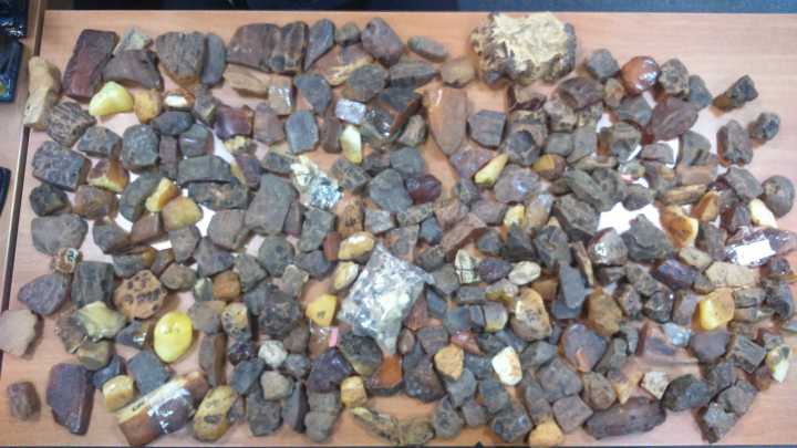 Tentativă de contrabandă cu chihlimbar, stopată de vameși