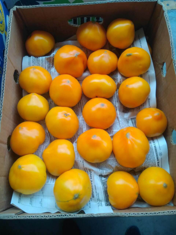 Tone de legume fără acte de provenienţă şi produse din carne de porc aduse din Ucraina, confiscate de Serviciul Vamal