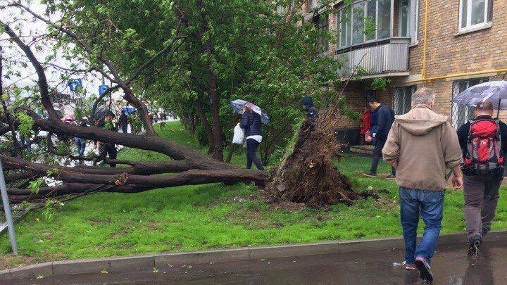 Moscova: Şase persoane au murit în urma unui URAGAN (VIDEO/FOTO)