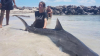 Un băiat de 15 ani a devenit SPAIMA rechinilor! Autorităţile sunt îngrijorate de "pasiunea" acestuia