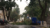 Furtună violentă în Capitală. Un copac a căzut peste firele de înalta tensiune