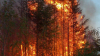 Incendii de vegetație în statul Arizona. Flăcările au cuprins deja peste 8300 de hectare și amenință câteva localități
