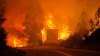 Incendiul catastrofal din Portugalia a luat cel puțin 62 de vieți. Guvernul a decretat 3 zile de doliu național (FOTO)