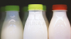 Din ce cauze apare alergia la lapte şi intoleranţa la lactoză. Cât de periculoase sunt şi cum ne putem proteja