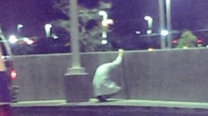 CUTREMURĂTOR! Un medic a IMPRESIONAT o lume întreagă: A ieșit din spital, s-a sprijinit de un perete și a plâns în hohote! (FOTO)