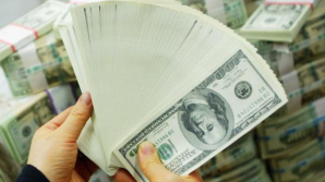 Un bărbat a furat pene din muzee de 6 milioane de dolari. Care ar fi fost de fapt scopul hoţului