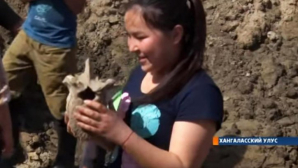 Mici, dar geniali. Ce au descoperit un grup de copii (FOTO)