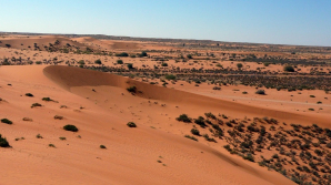 Descoperire înfiorătoare. Bebeluși, găsiți morți în mijlocul deșertului african