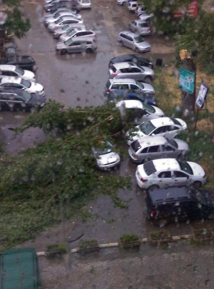 FURTUNĂ VIOLENTĂ în Capitală. ACOPERIŞURI SMULSE şi o creangă căzută peste o femeie. Hidrometeo nu a emis nicio avertizare (VIDEO)