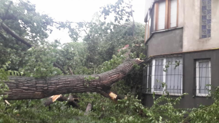 FURTUNĂ VIOLENTĂ în Capitală. ACOPERIŞURI SMULSE şi o creangă căzută peste o femeie. Hidrometeo nu a emis nicio avertizare (VIDEO)